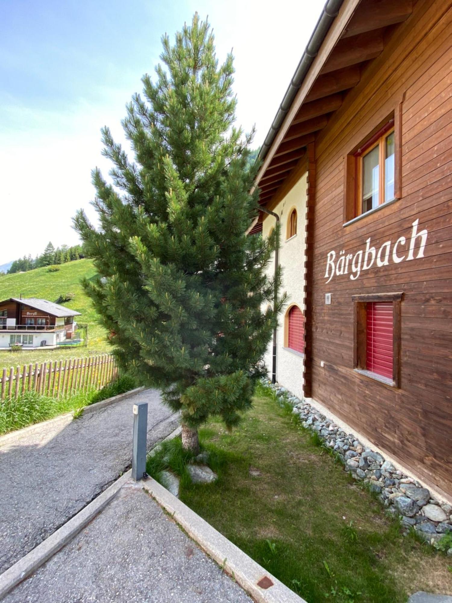 Sonnmatten Boutique Hotel & Apartments Zermatt Exterior foto